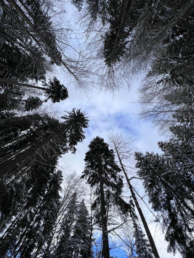 Садиба Between Mountains Mizhhirya  Luaran gambar