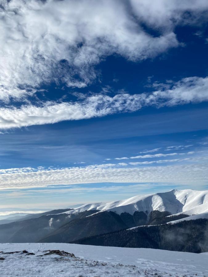 Садиба Between Mountains Mizhhirya  Luaran gambar