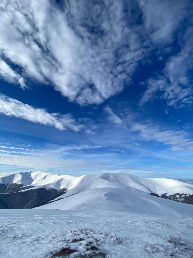 Садиба Between Mountains Mizhhirya  Luaran gambar