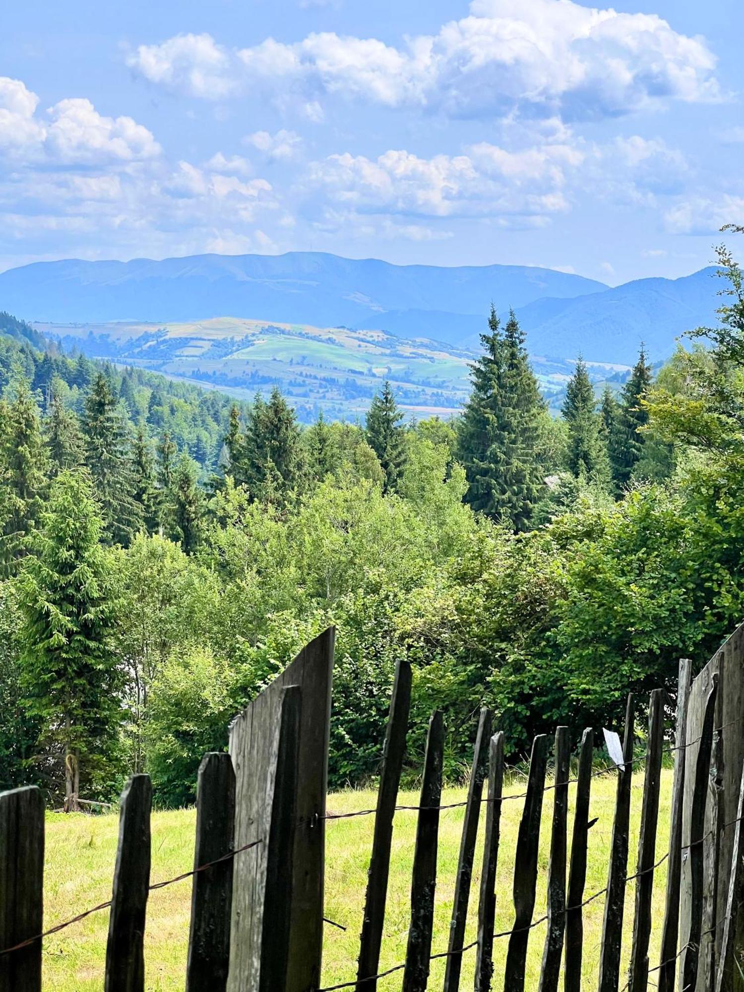 Садиба Between Mountains Mizhhirya  Luaran gambar