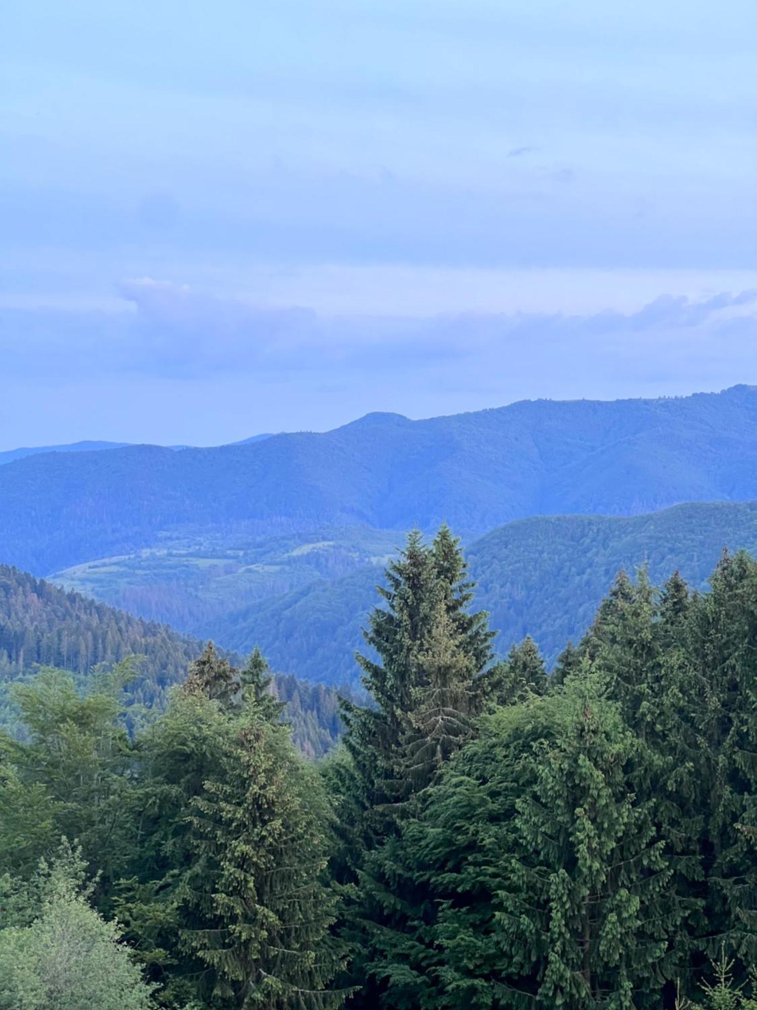 Садиба Between Mountains Mizhhirya  Luaran gambar